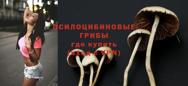 героин Арсеньев