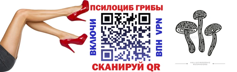 как найти наркотики  нарко площадка наркотические препараты  Галлюциногенные грибы MAGIC MUSHROOMS  Сасово 